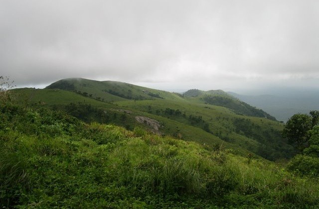 Landscape